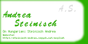 andrea steinisch business card